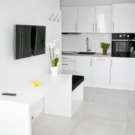 Apartamento Elegant Center 7a